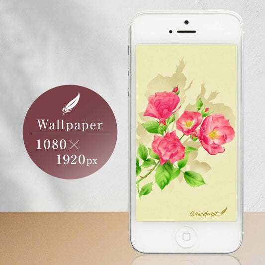 【デジタルカード&壁紙】薔薇アンジェラ（ボタニカルアート）