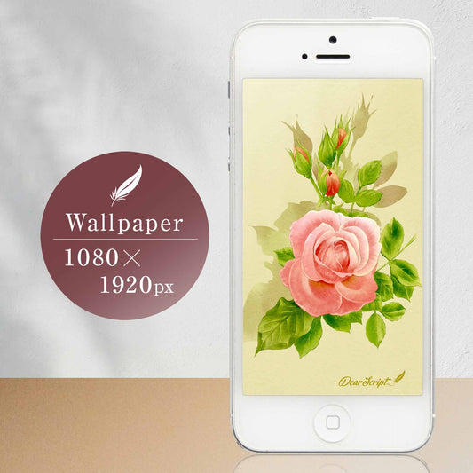 【デジタルカード＆壁紙】薄いピンク薔薇（ボタニカルアート）