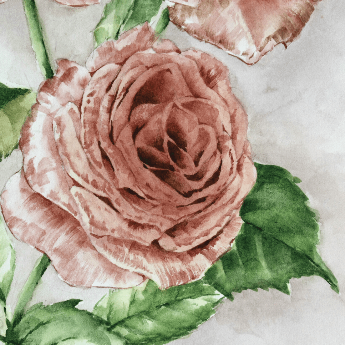 薔薇ミスティックサラ（F4サイズ：333mm×242mm）